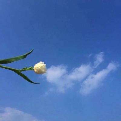 手机腾讯欢乐四川麻将下载